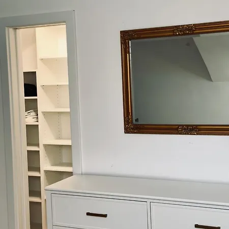 Forseti Center Luxury Penthouse